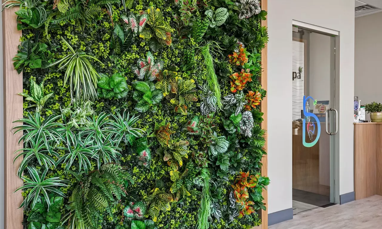 Dental Checkup with Cleaning, X-Ray, and Exam