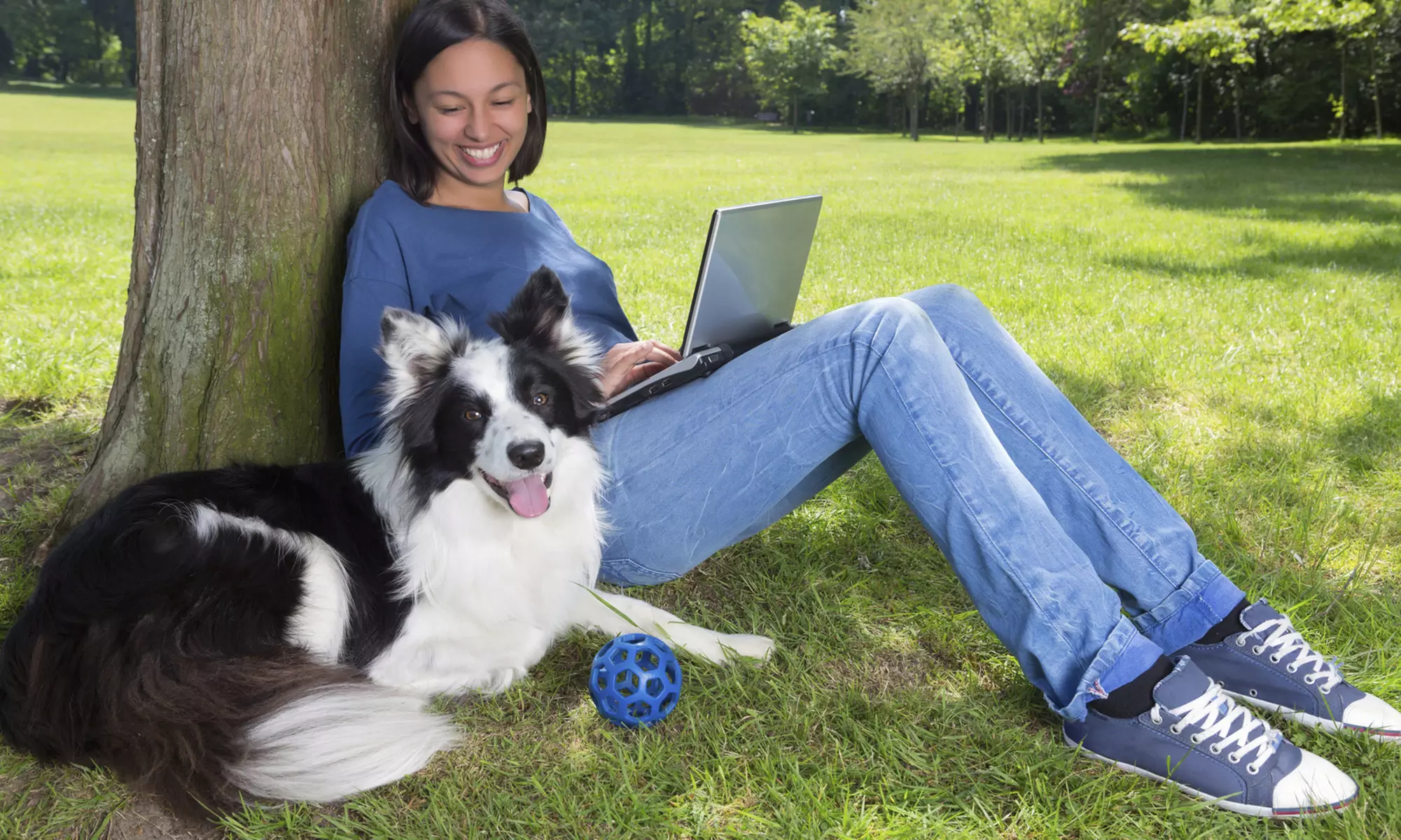 Online Accredited Prevention and Management of Dog Aggression Course from DaisyFlo (94% Off) - Primary Image