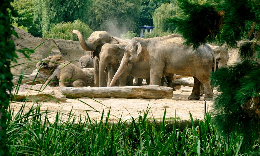 Image 1: Tageskarte Kölner Zoo & Aquarium