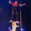 Image 2: Le Cirque Pinder : un spectacle légendaire au mois d'octobre à Lille