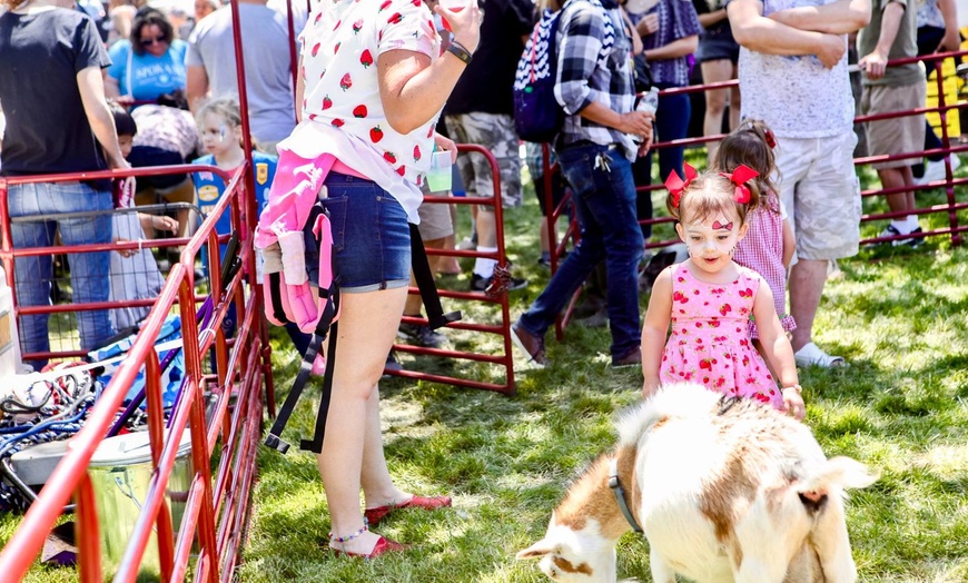 Image 8: Up to 39% Off Admission to BerryFest Strawberry Festival