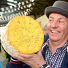 Image 4: Melton Mowbray Cheese Fair | Artisan Cheeses, Local Produce May 24 & 25 2025