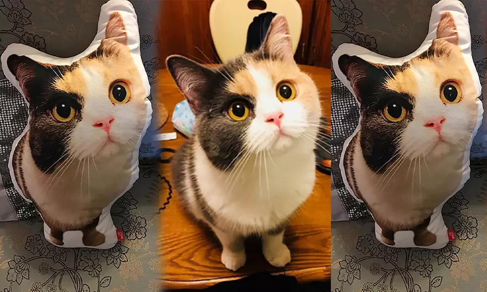 3-D-Fotokissen mit Haustiermotiv