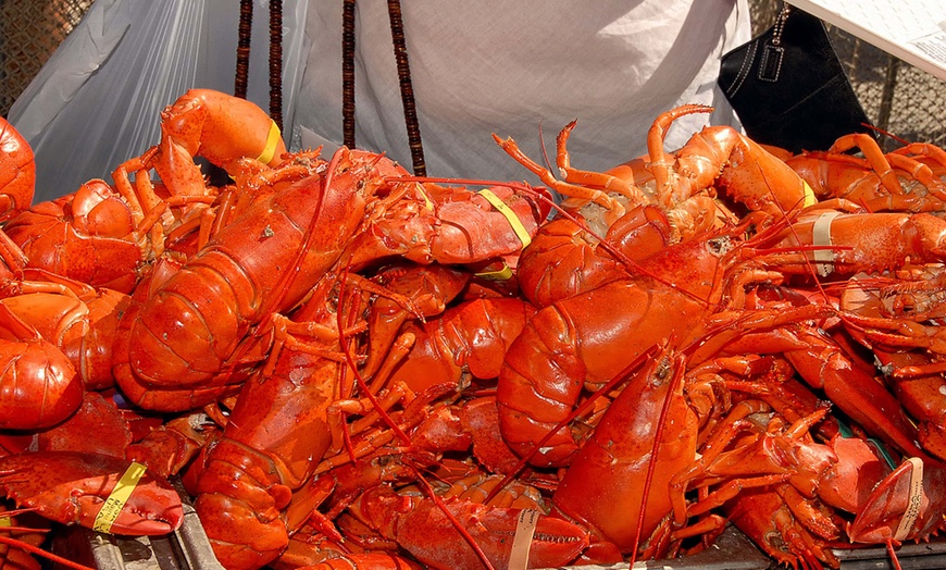 Image 5: Original Lobster Festival: Single-Day General-Admission on Sep 6 or 7