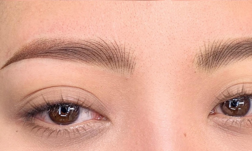 Image 4: Enhance Your Features with Nano Shading Session