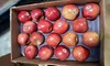 Ten Dollars Off Online Grocery Delivery For Convenient Shopping at Proton Technology LLC - 90% Off
