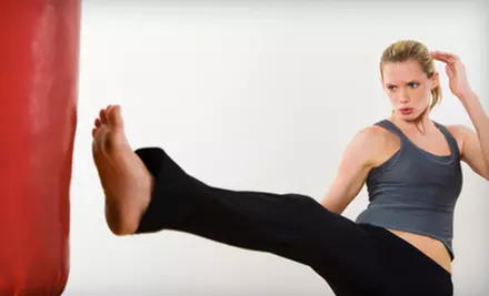 $29 for 10 Kickboxing Classes at Diekema Taekwondo ($80 Value) - Primary Image