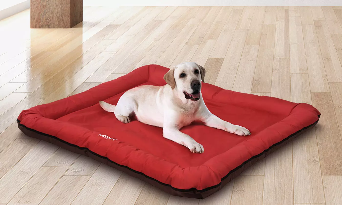 Hundebett in der Farbe und Größe nach Wahl - Primary Image