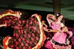 1, 3, or 5-Class Pass Options – Flexible Fitness Deals to Fit Your Schedule at Nalini Dance(Up To 51% Off) - Second Medium