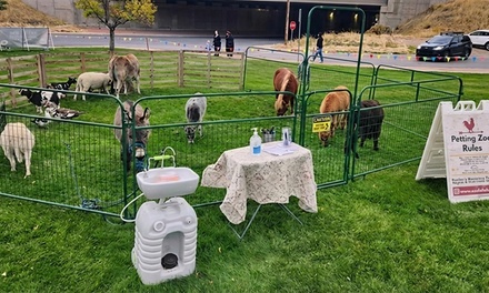 Single Admission to Petting Zoo - Taylors Traveling Troupe