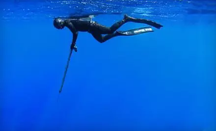 $85 for a One-Day Freediving Introduction and Safety Course from Nautilus Spearfishing ($199 Value) - Primary Image