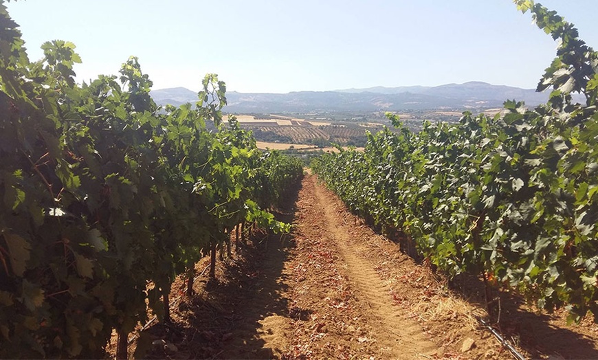 Image 2: Cata de vinos