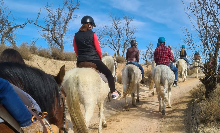 Image 4: Paseo a caballo de 1 hora para 2 o 4 por paraje natural de Granada