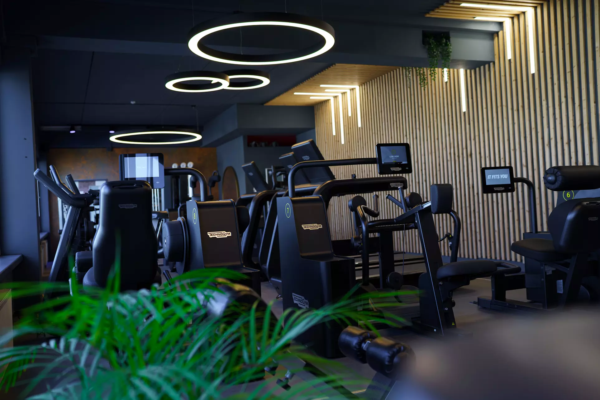 Tagesticket oder Monats-Abo für Training und Extras für 1 Person