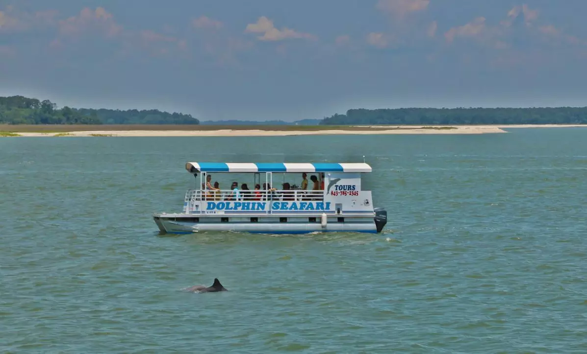 90-Minute Hilton Head Island Dolphin Tour for Adult, Child & Infant