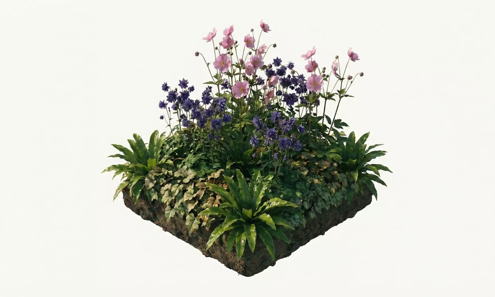 Mehrjähriges 8er-Staudenbeet-Set „Nora“