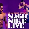 Image 1: Magic Mike Live Ticket Deals 