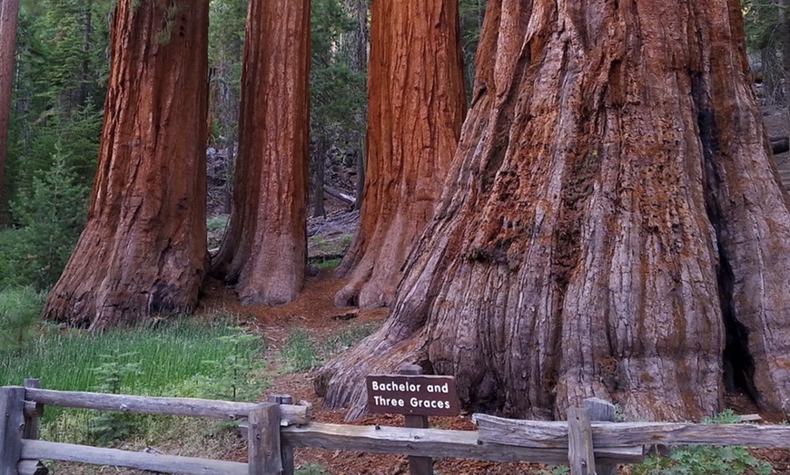 Image 4: ✈ America’s Great West: A National Parks Expedition from Worldee