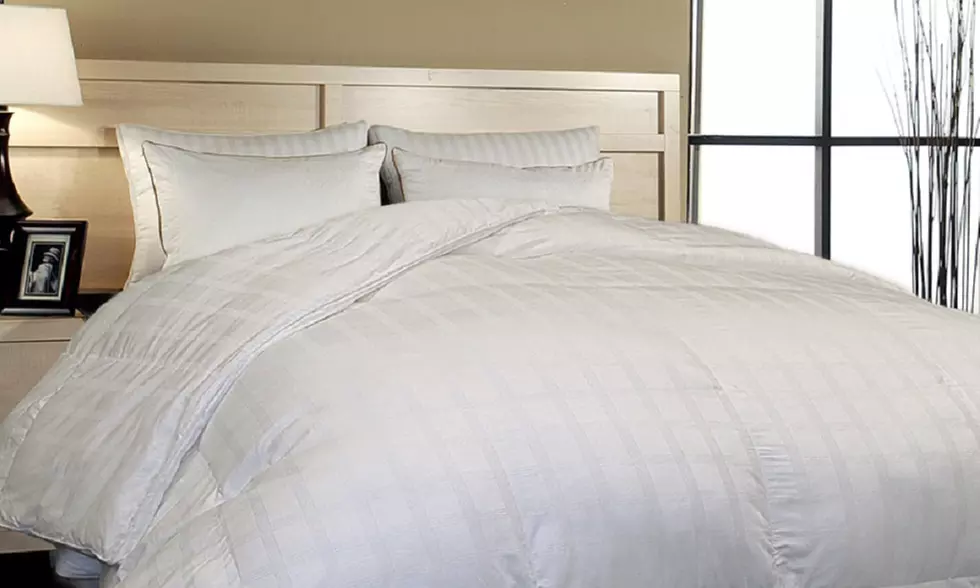 Duraloft 600-TC Heavy-Weight Cotton Oversized Comforter - Primary Image