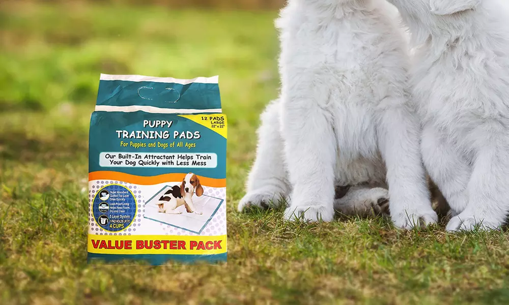 Wiz B Gone Puppy Training Pads Value Buster Pack - 48 Pads - Great Deal - Primary Image