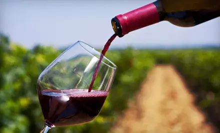 Niagara Wine Country Summer Wine Tour for One or Two from Niagara Fun Tours (Up to 70% Off) - Primary Image