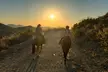 Explore Stunning Trails: Guided Horseback Riding for One or Two - Second Medium