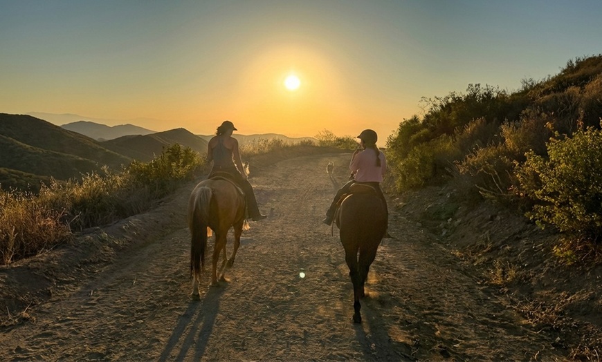 Image 5: Guided Horseback Riding: Sunset, Adventure & Beach Trails
