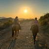 Image 5: Guided Horseback Riding: Sunset, Adventure & Beach Trails