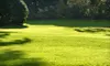 $39 for Lawn Aeration and Fertilizer Treatment for up to 2,000 Square Feet from Spring Man Canada ($95 Value)