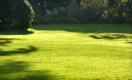 $39 for Lawn Aeration and Fertilizer Treatment for up to 2,000 Square Feet from Spring Man Canada ($95 Value) - Primary Image
