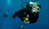 Scuba-Certification Course or Gear Package at Tiger Shark Scuba in Arlington. Two Options Available.