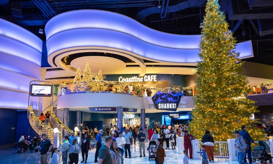 Image 14: One General-Admission Ticket at Georgia Aquarium