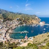 Image 1: Enjoy a 50-Min Catalina Island City & Scenic Mt Ada Tour 