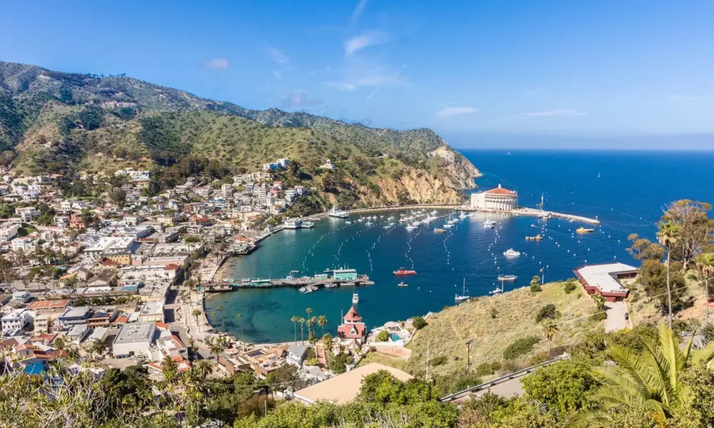 Enjoy a 50-Min Catalina Island City & Scenic Mt Ada Tour 