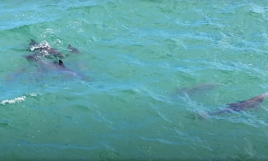 Image 7: Experience Miami's Waters on a Luxury Sailing Charter
