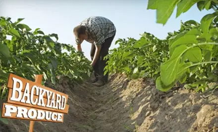 $18 for Delivery of One Box of Local and Organic Produce from Backyard Produce ($36 Value) - Primary Image