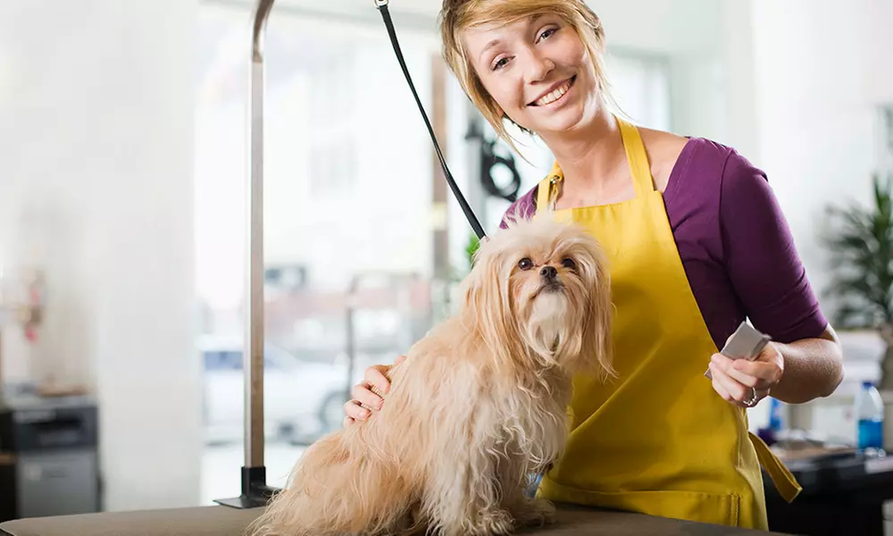 Dog Grooming or Pet Supplies at Powell Bros. Feed & Pet Supply (Up to 50% Off). Six Options Available. - Primary Image