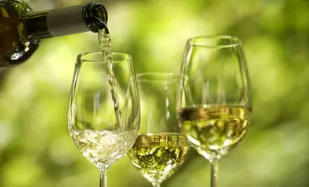 $60 for a Private Tasting and Tour for 10 at Clinton Vineyards in Clinton Corners ($200 Value)  - Primary Image