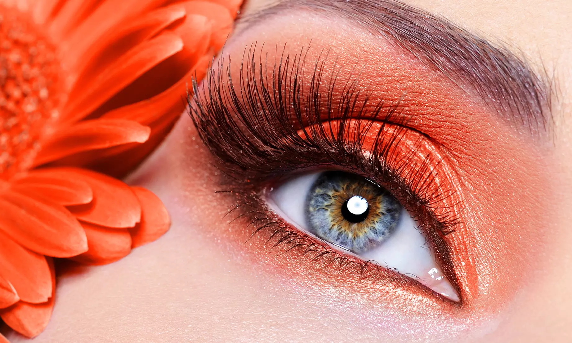 Cat Eye or Light Look Lash Extensions or Lash Perm at Art and Lashes (Up to 56% Off)  - Primary Image