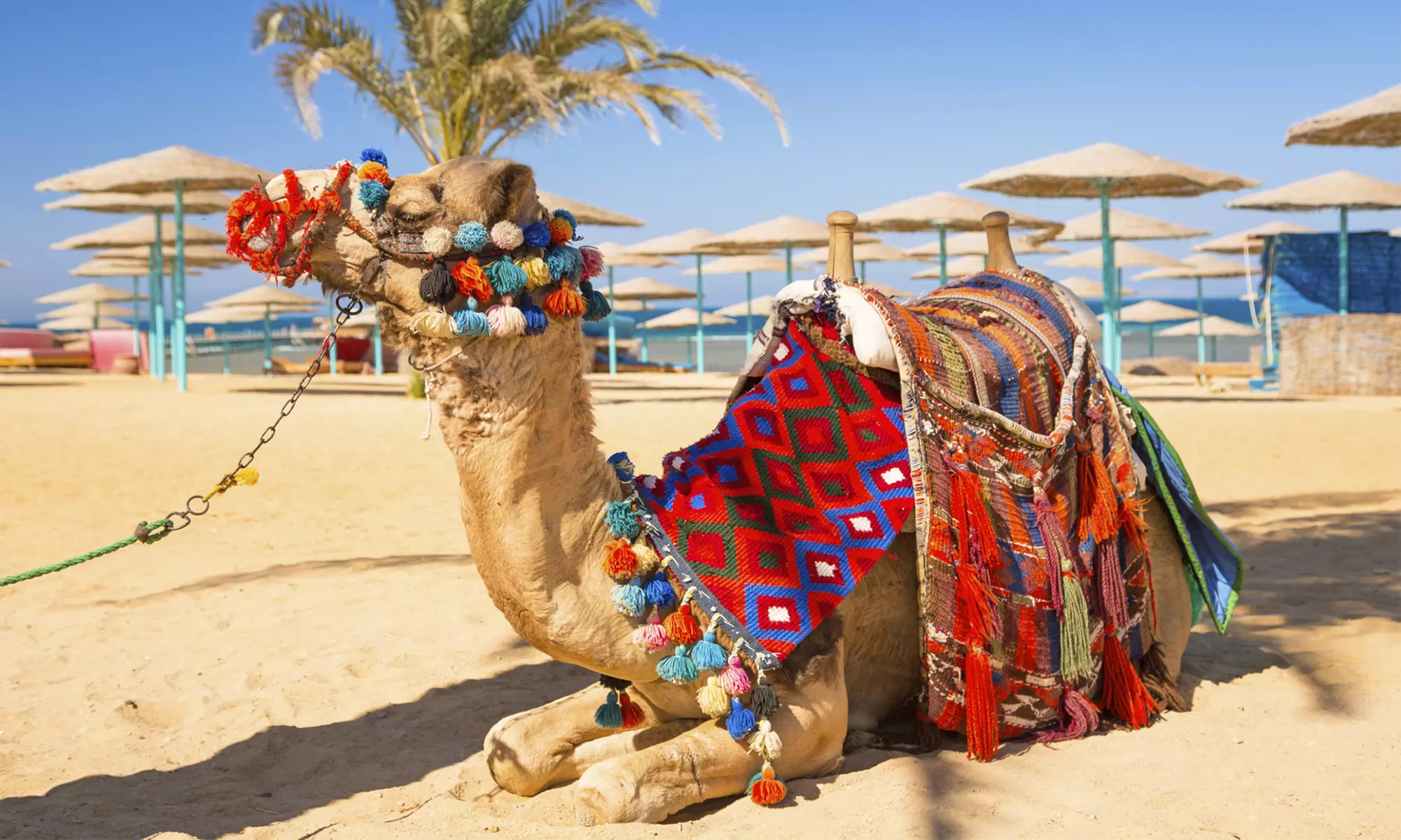 ✈8- or 9-Day Egypt Tour with Hotels and Air from Encounters Travel