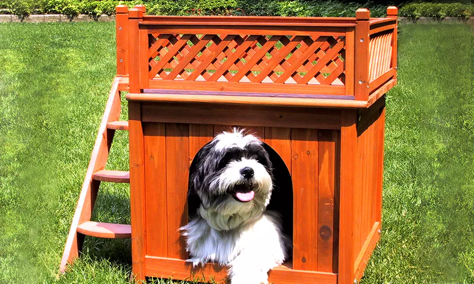 Room With a View Dog House - Primary Image