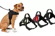 No Pull No Choke Soft Padded Dog Harness Vest for Training Walking Jogging - Second Medium