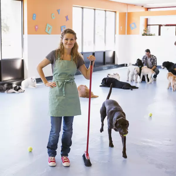 Rompers little orders dog daycare