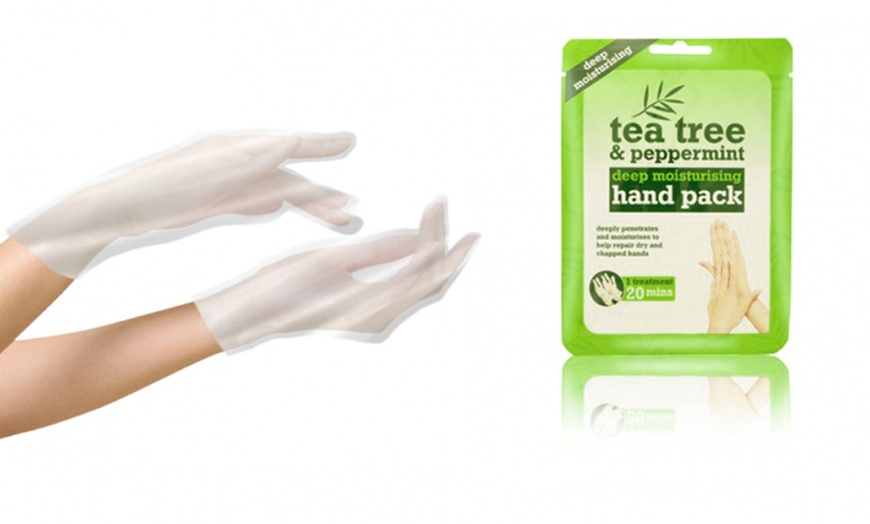 Image 5: Tea Tree Oil Cosmetics