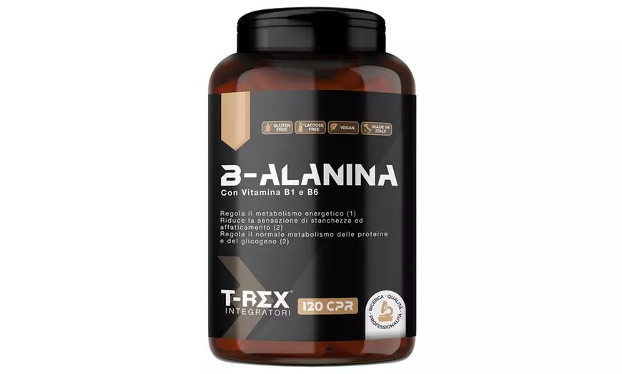 Image 7: Aminoacidi essenziali, glutammina e arginina T-Rex Integratori