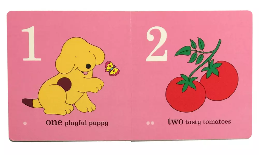 Spot the Dog Board-Book Bundle - Second Medium