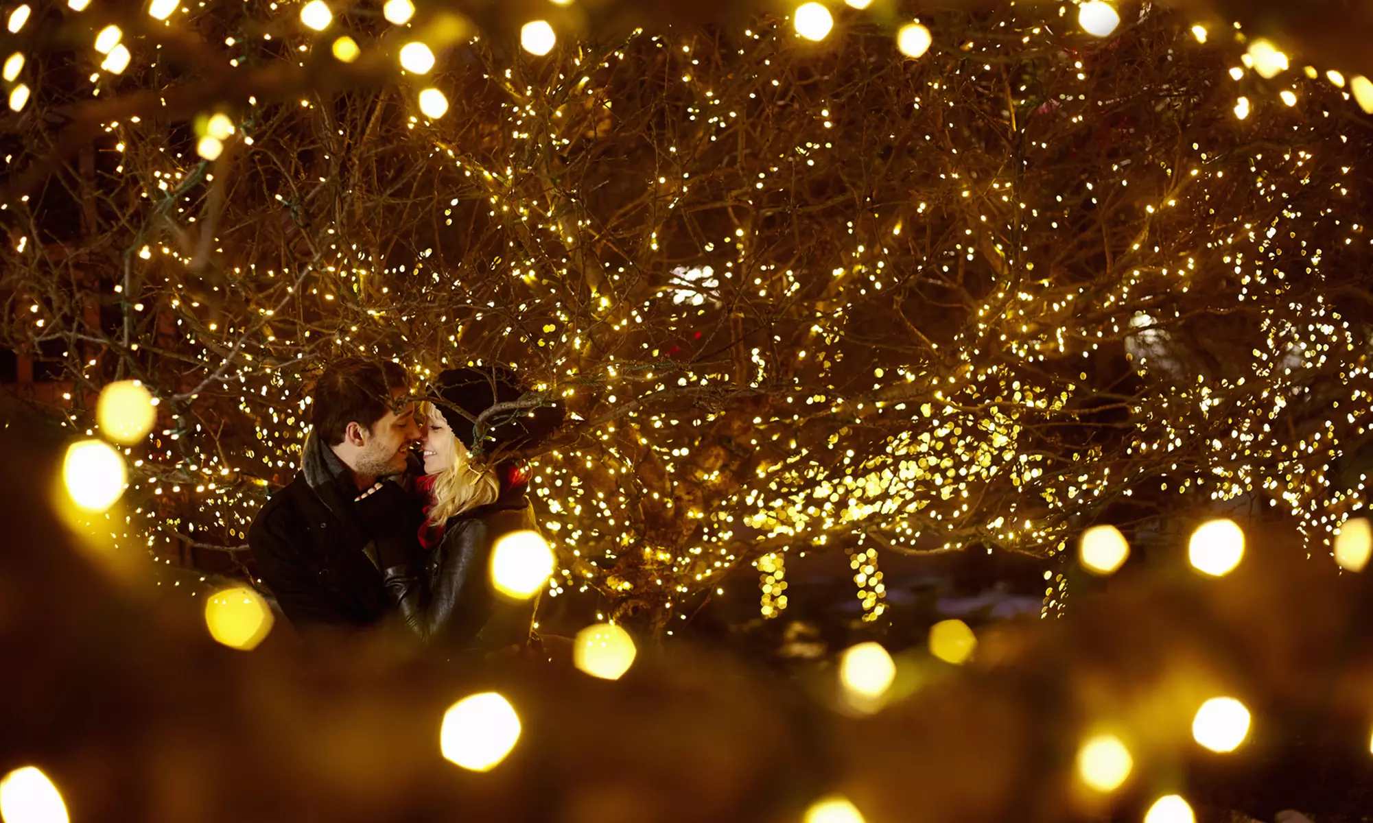 40% Off Holiday - Decor / Lights - Primary Image