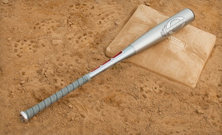 reebok vector bat