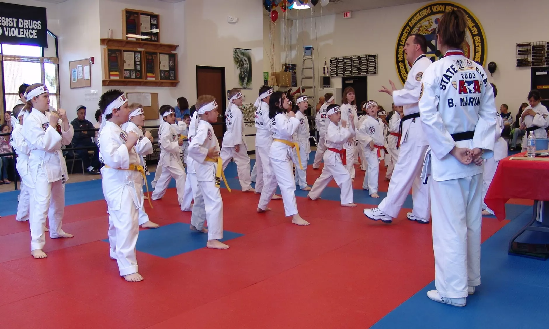 $49 for $274 Worth of Martial-Arts Lessons at Team Matthews Ata Black Belt Academy - Primary Image