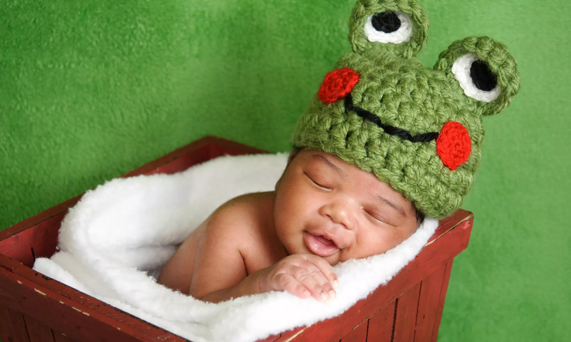 60-Minute Newborn Photo Shoot from Never2Much Designs and Photography (75% Off) - Primary Image